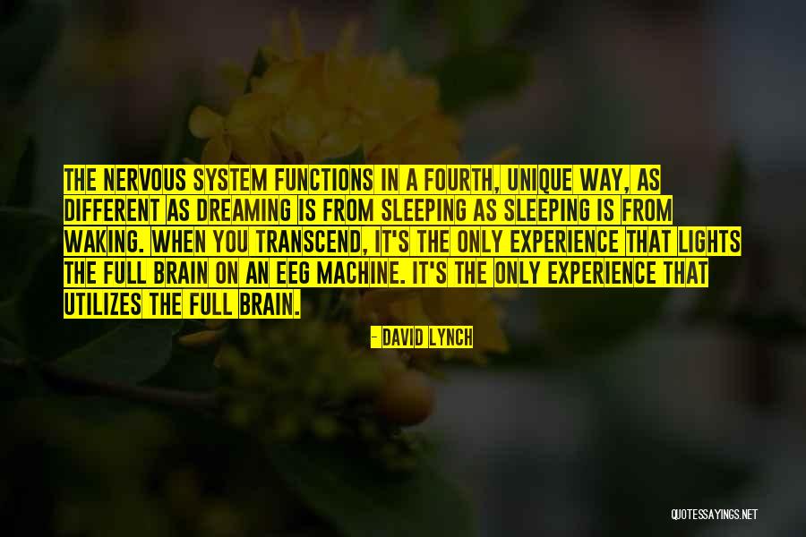 Visitar Mi Cuenta Quotes By David Lynch Visitar Mi Cuenta Quotes By David Lynch