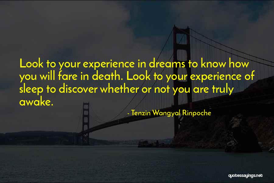Visiteuse Medicale Quotes By Tenzin Wangyal Rinpoche