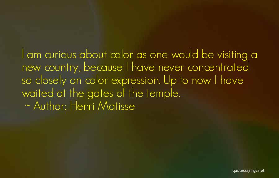Visiting Quotes By Henri Matisse