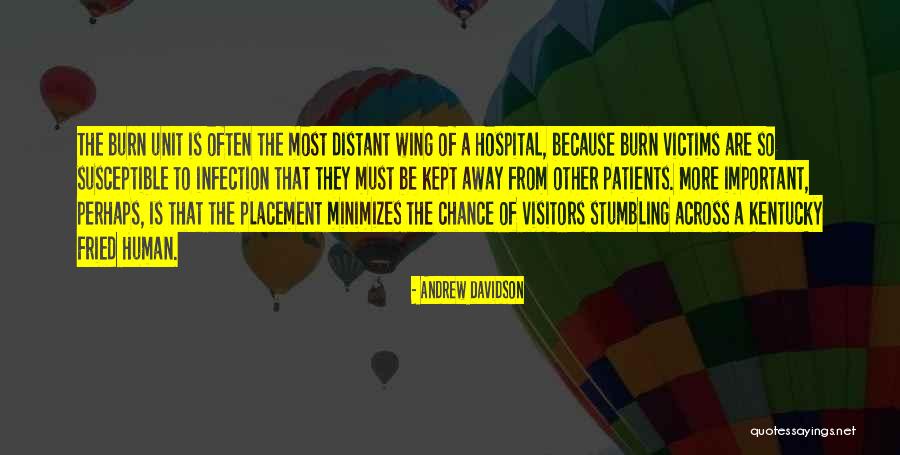 Visitors The Quotes By Andrew Davidson Visitors The Quotes By Andrew Davidson
