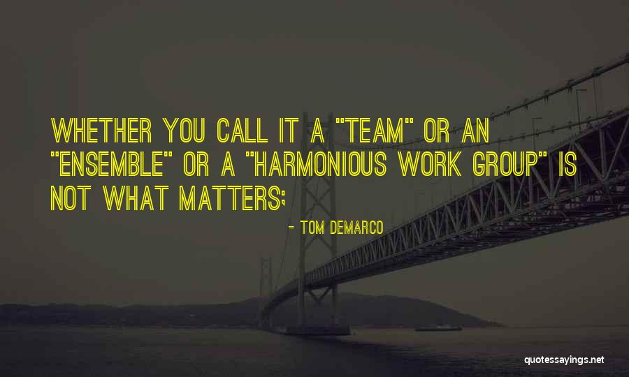 Visitors The Series Quotes By Tom DeMarco Visitors The Series Quotes By Tom DeMarco