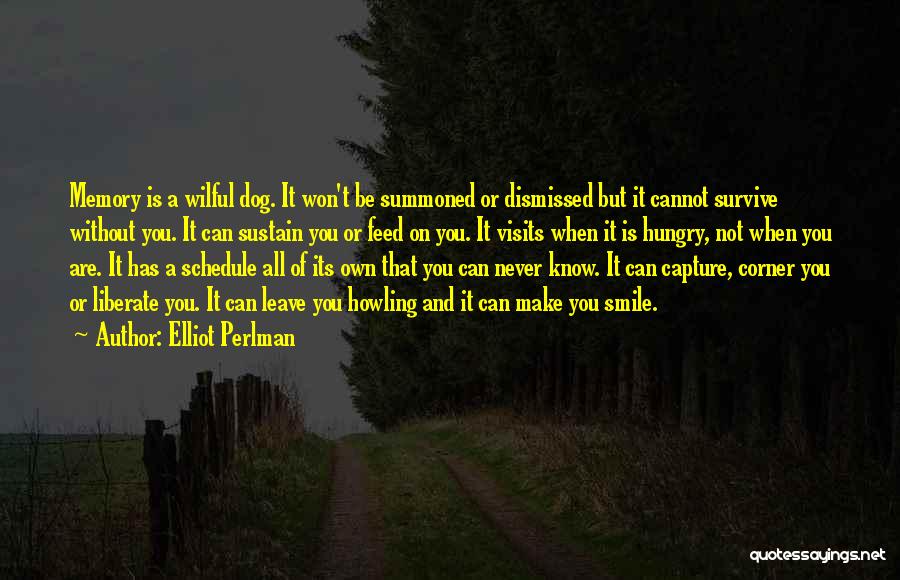 Visits Quotes By Elliot Perlman