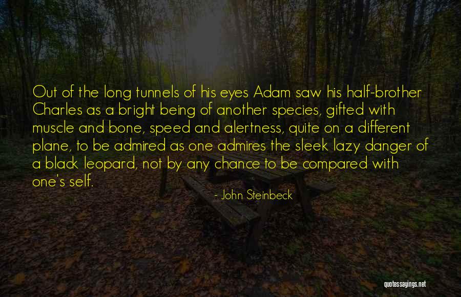 Visivo Shirts Quotes By John Steinbeck Visivo Shirts Quotes By John Steinbeck