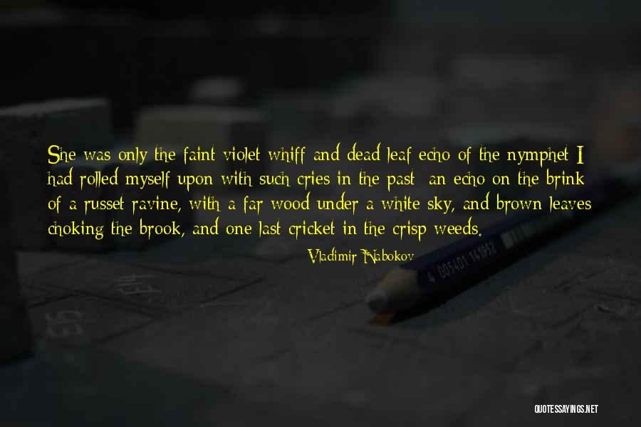 Vislumbrando Significado Quotes By Vladimir Nabokov Vislumbrando Significado Quotes By Vladimir Nabokov