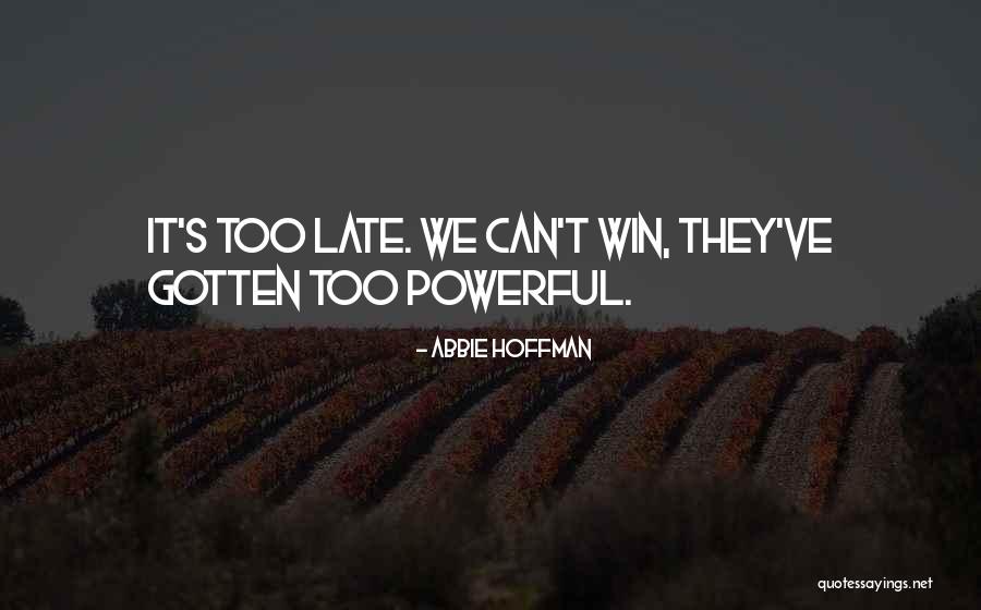 Visnic Builders Quotes By Abbie Hoffman Visnic Builders Quotes By Abbie Hoffman