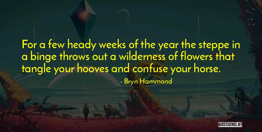 Visnjiceva Quotes By Bryn Hammond Visnjiceva Quotes By Bryn Hammond