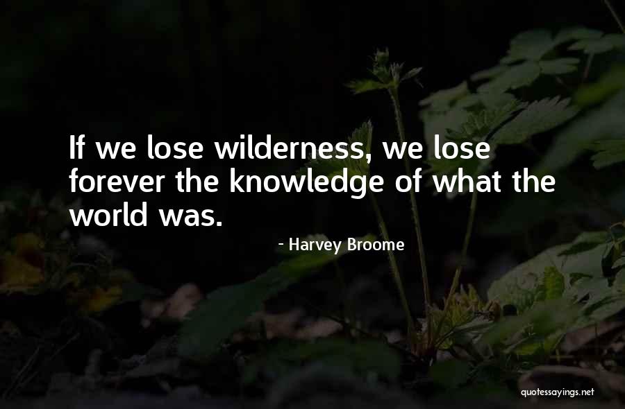 Visoka Quotes By Harvey Broome Visoka Quotes By Harvey Broome