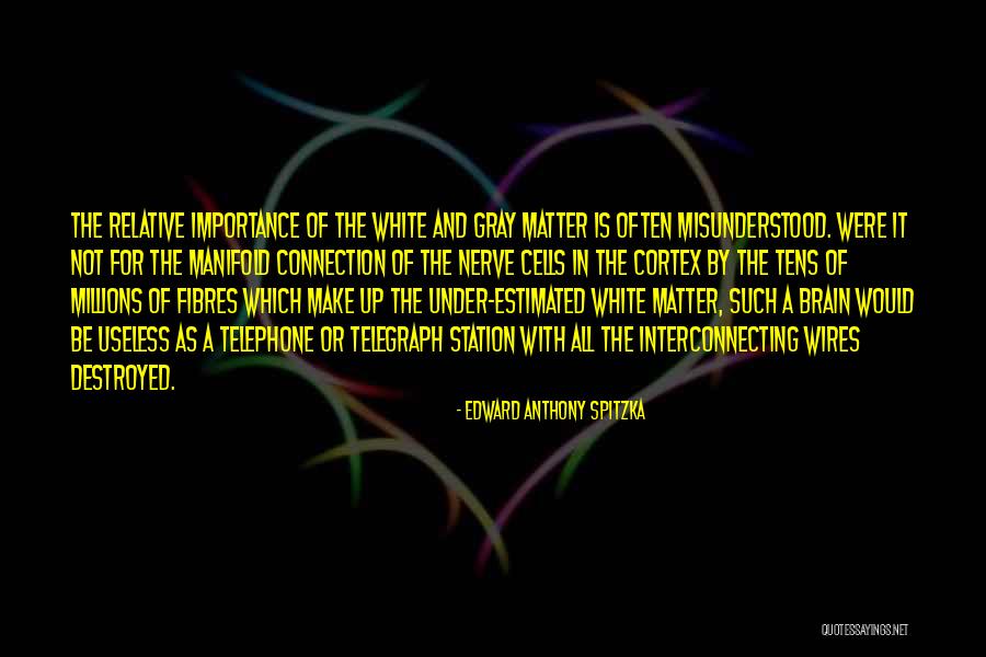 Vissenakenstraat Quotes By Edward Anthony Spitzka Vissenakenstraat Quotes By Edward Anthony Spitzka