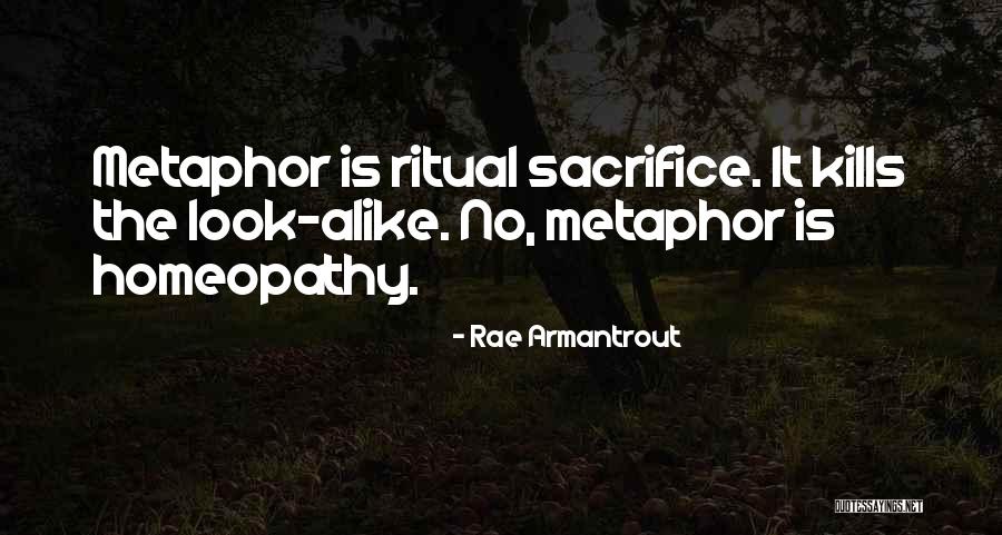 Vistazo Ec Quotes By Rae Armantrout Vistazo Ec Quotes By Rae Armantrout