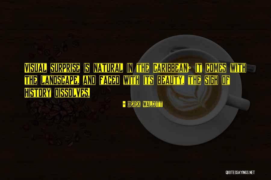 Visual Beauty Quotes By Derek Walcott Visual Beauty Quotes By Derek Walcott