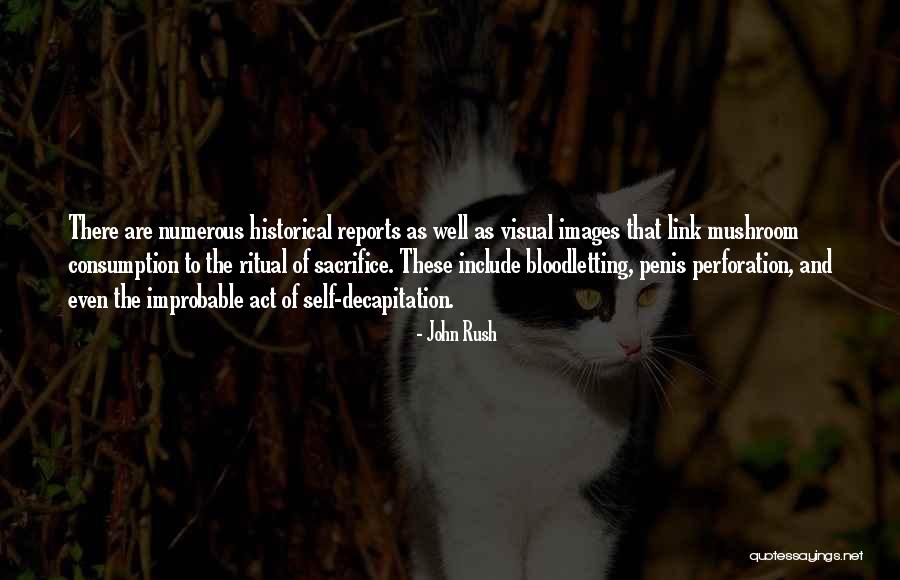 Visual Culture Quotes By John Rush Visual Culture Quotes By John Rush