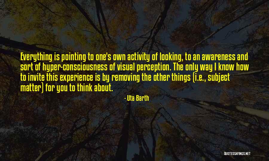 Visual Thinking Quotes By Uta Barth