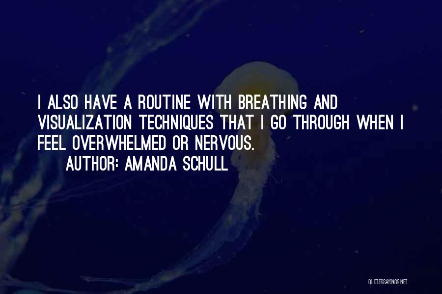 Visualization Quotes By Amanda Schull
