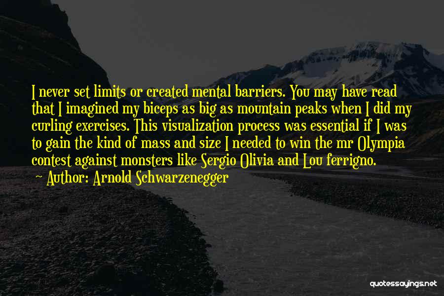 Visualization Quotes By Arnold Schwarzenegger
