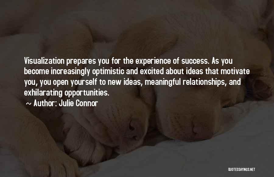 Visualization Quotes By Julie Connor