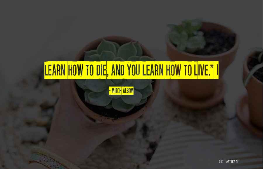 Visuri Dex Quotes By Mitch Albom Visuri Dex Quotes By Mitch Albom