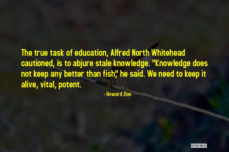 Vital Education Quotes By Howard Zinn Vital Education Quotes By Howard Zinn