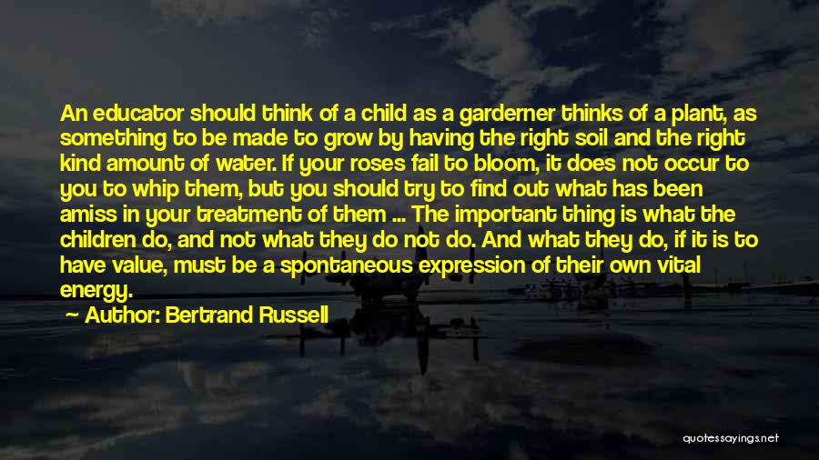 Vital Energy Quotes By Bertrand Russell