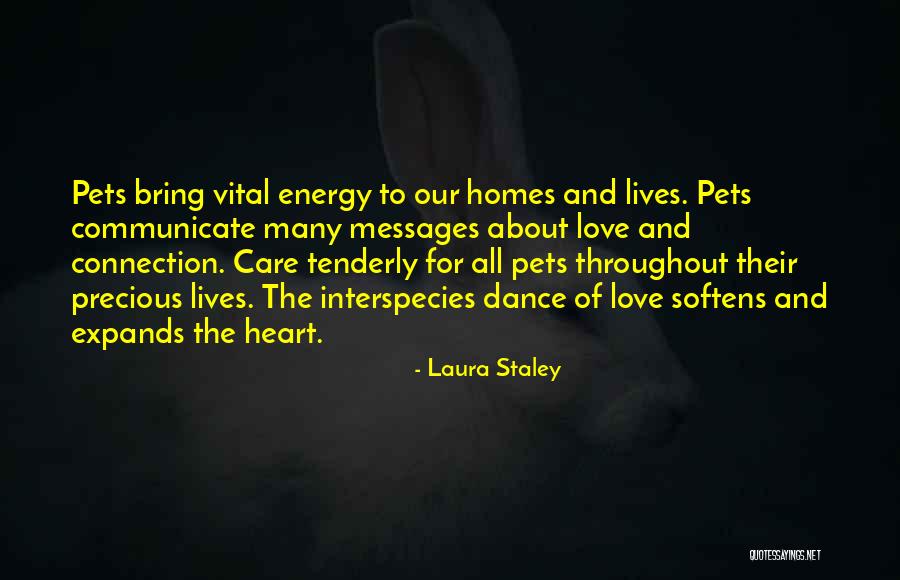 Vital Energy Quotes By Laura Staley