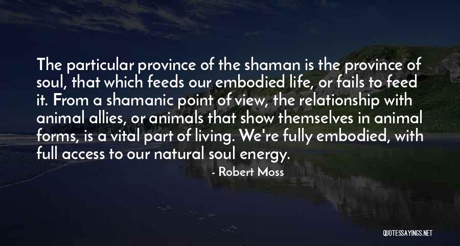 Vital Energy Quotes By Robert Moss