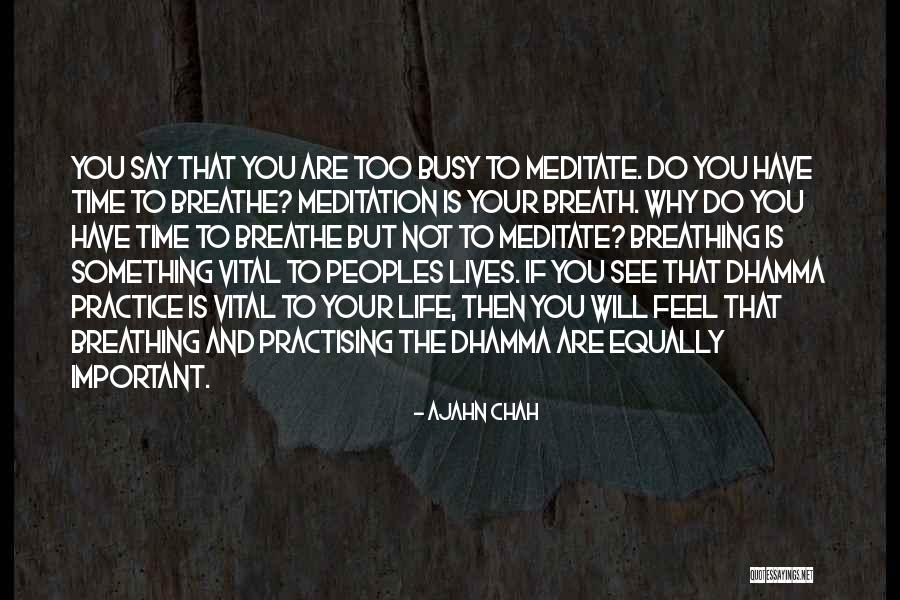 Vital Important Quotes By Ajahn Chah Vital Important Quotes By Ajahn Chah