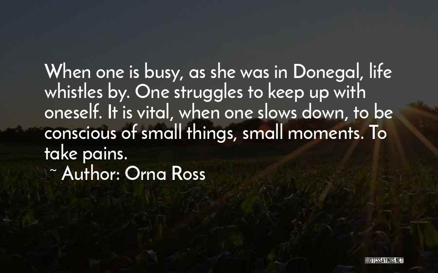 Vital Life Quotes By Orna Ross