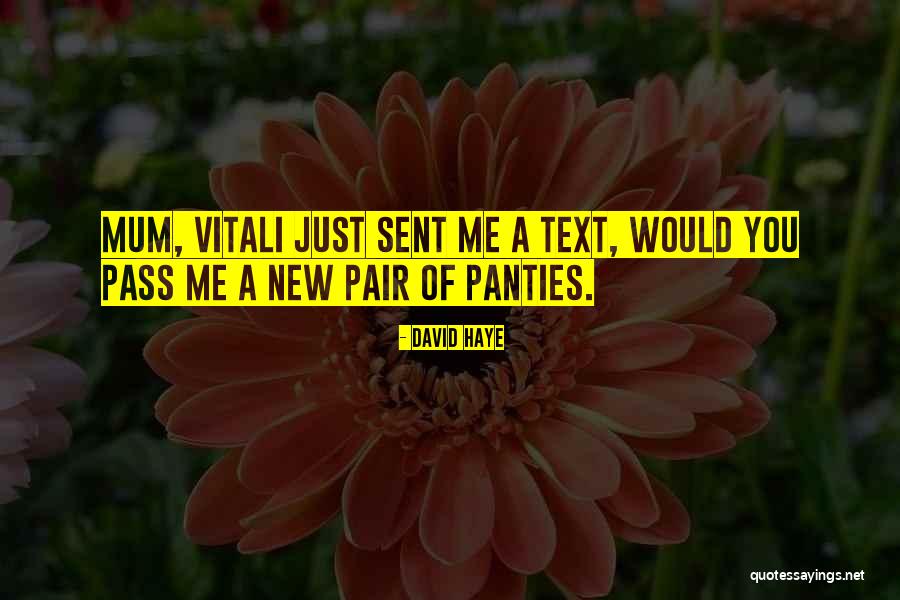 Vitali Quotes By David Haye Vitali Quotes By David Haye