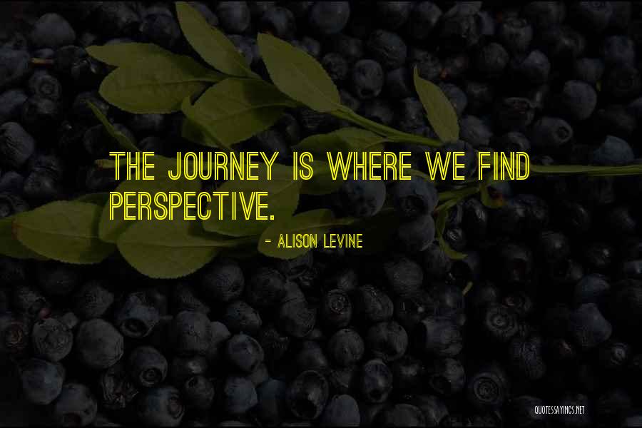 Vitalidades Quotes By Alison Levine Vitalidades Quotes By Alison Levine