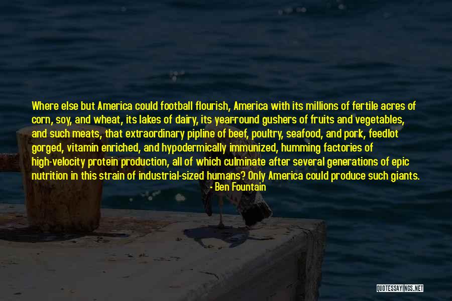 Vitamin K Quotes By Ben Fountain Vitamin K Quotes By Ben Fountain