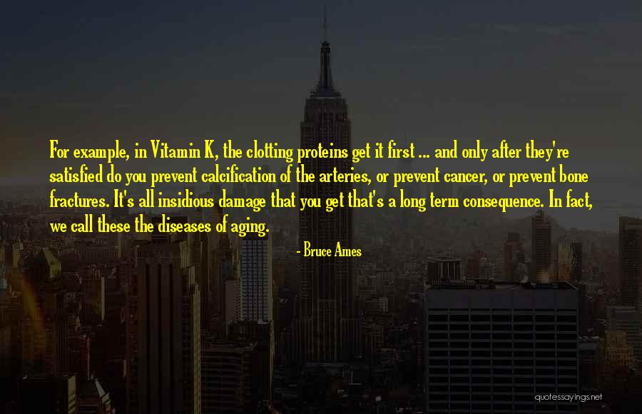 Vitamin K Quotes By Bruce Ames