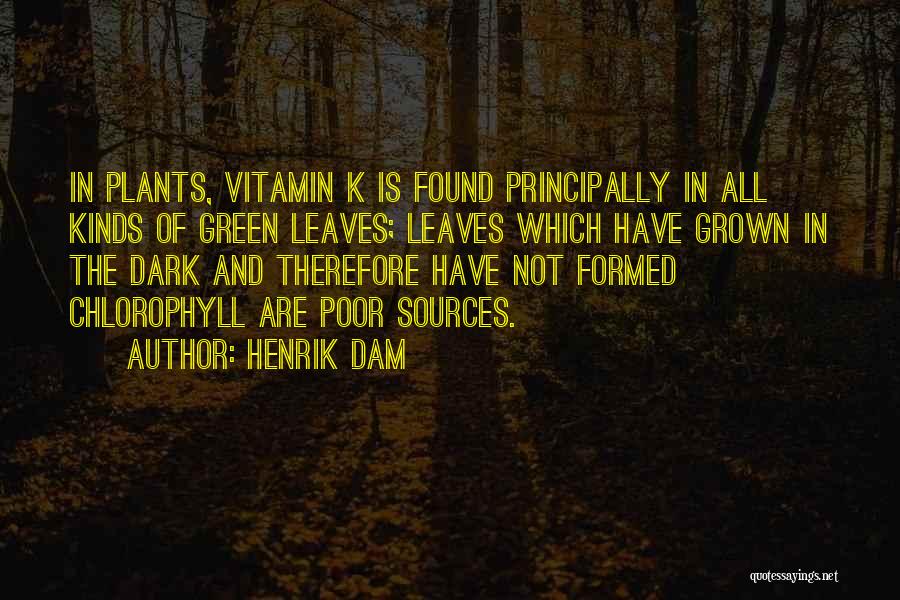 Vitamin K Quotes By Henrik Dam