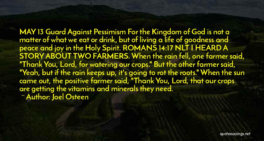 Vitamins And Minerals Quotes By Joel Osteen