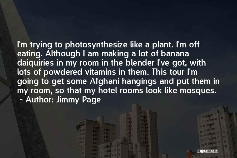 Vitamins Quotes By Jimmy Page