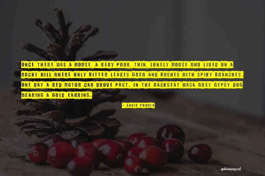 Vitanova Sauce Quotes By Annie Proulx Vitanova Sauce Quotes By Annie Proulx