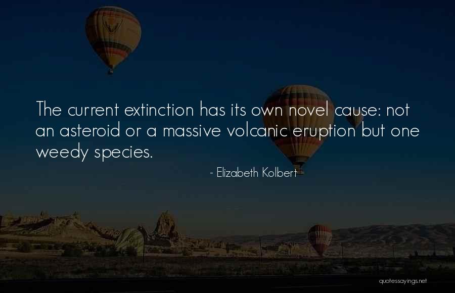Vitesse Wine Quotes By Elizabeth Kolbert Vitesse Wine Quotes By Elizabeth Kolbert
