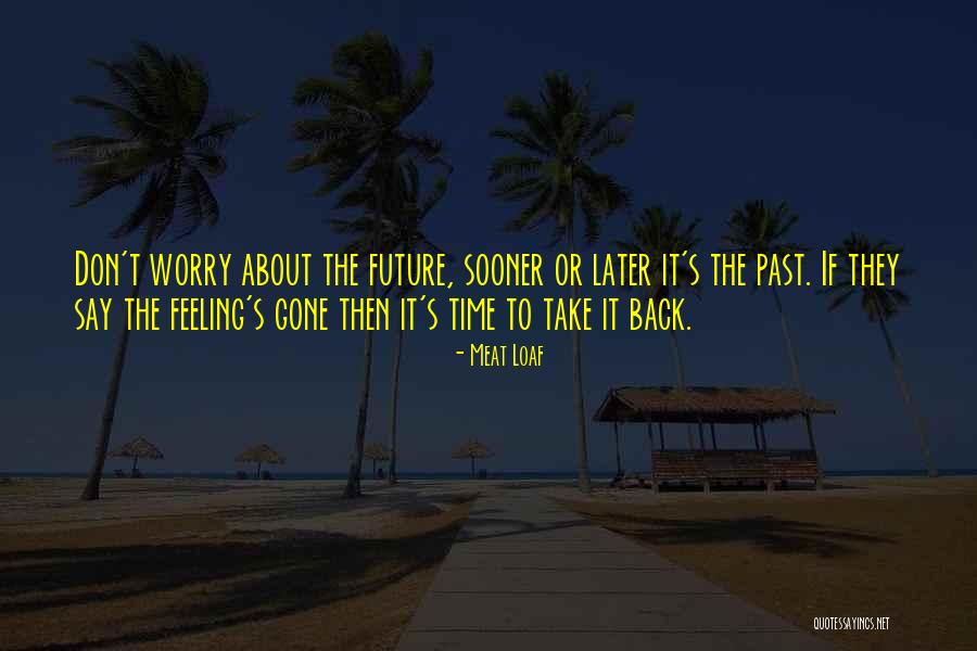 Vitium Vis Quotes By Meat Loaf Vitium Vis Quotes By Meat Loaf