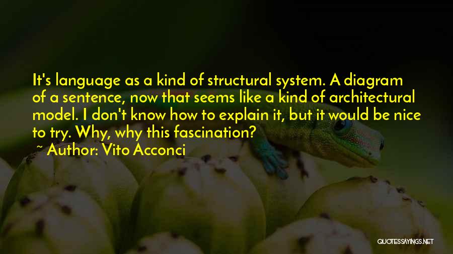 Vito Acconci Quotes 1290396