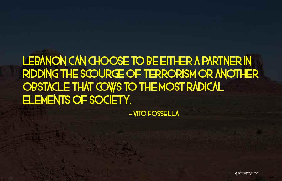 Vito Fossella Quotes 601606