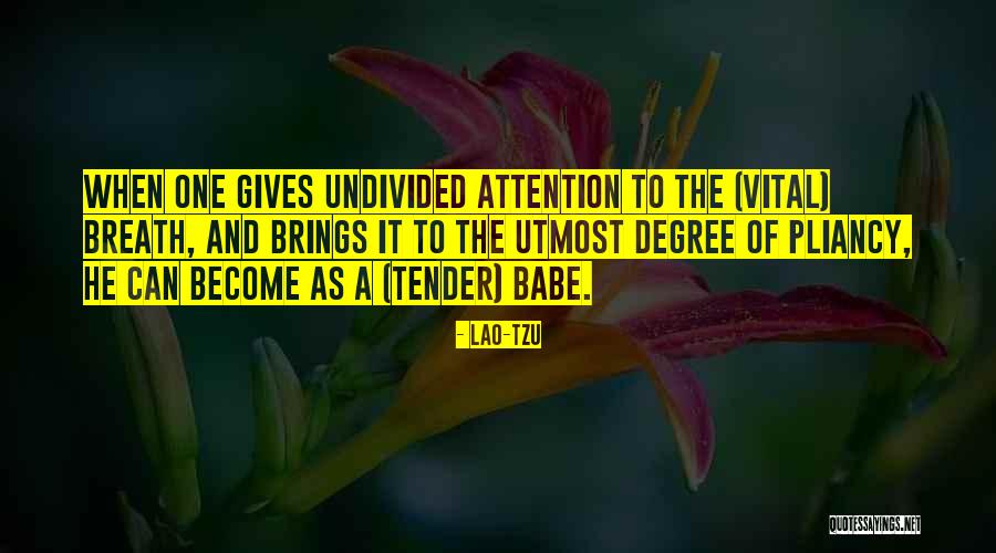 Vitobello Olive Oil Quotes By Lao-Tzu Vitobello Olive Oil Quotes By Lao-Tzu