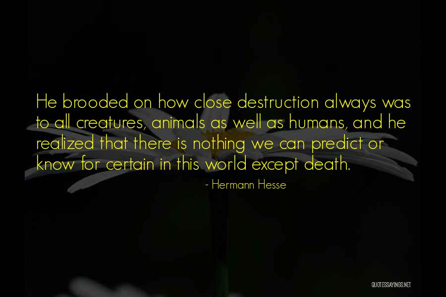 Vitray Alismasi Quotes By Hermann Hesse Vitray Alismasi Quotes By Hermann Hesse