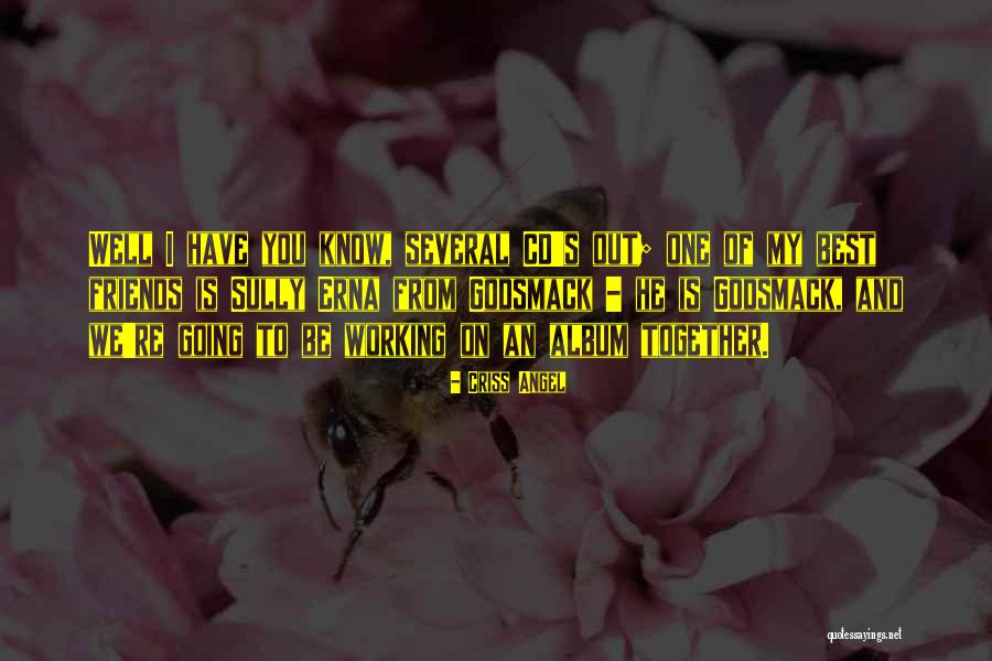 Vitreomacular Quotes By Criss Angel Vitreomacular Quotes By Criss Angel