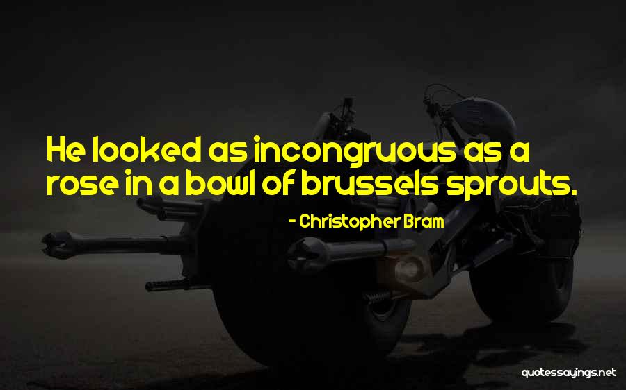 Vittoriano Vigano Quotes By Christopher Bram