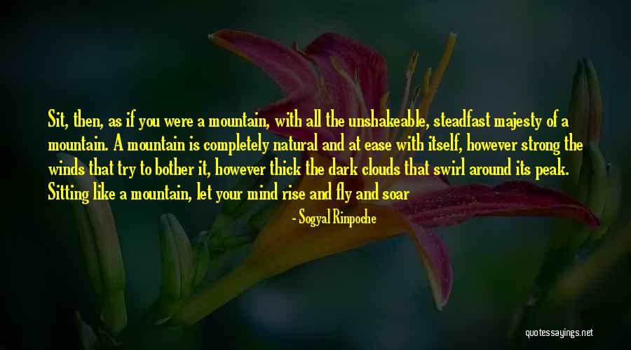 Viva Riva Quotes By Sogyal Rinpoche Viva Riva Quotes By Sogyal Rinpoche