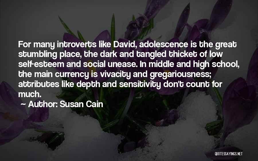 Vivacity Quotes By Susan Cain
