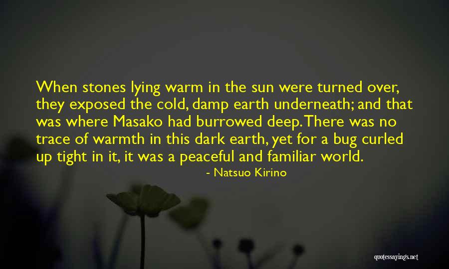 Vivantes Netzwerk Quotes By Natsuo Kirino Vivantes Netzwerk Quotes By Natsuo Kirino