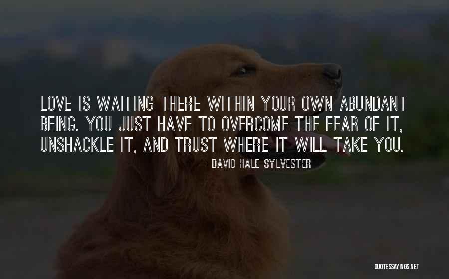 Viveash Photography Quotes By David Hale Sylvester Viveash Photography Quotes By David Hale Sylvester
