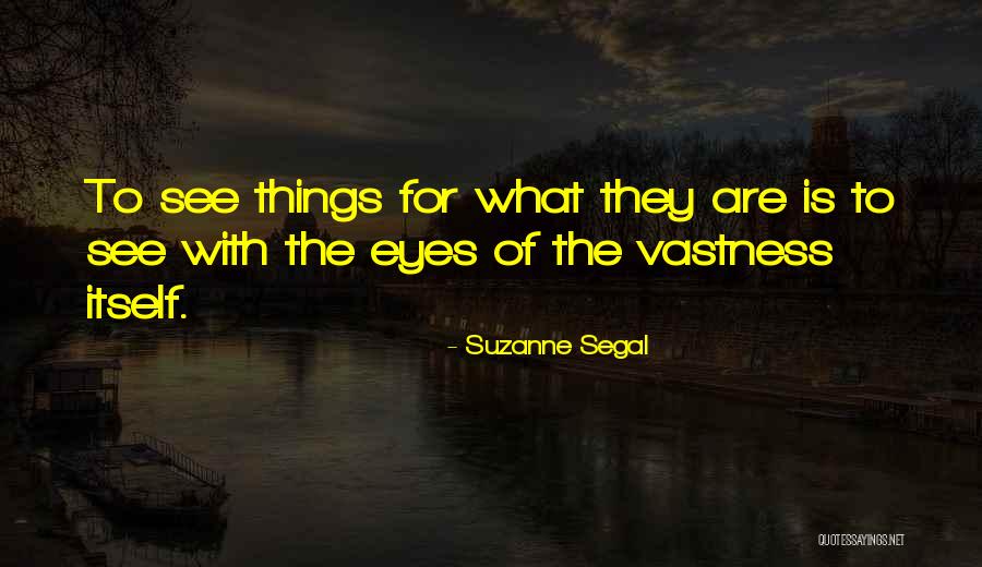 Vivenciar Dicionario Quotes By Suzanne Segal Vivenciar Dicionario Quotes By Suzanne Segal