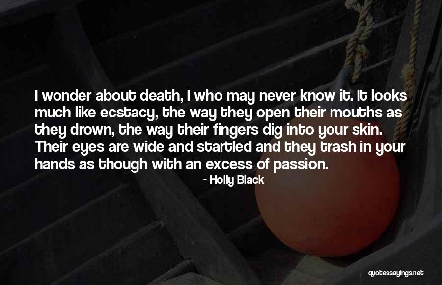 Viverettes Quotes By Holly Black Viverettes Quotes By Holly Black