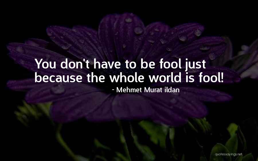 Viveza De Ingenio Quotes By Mehmet Murat Ildan Viveza De Ingenio Quotes By Mehmet Murat Ildan
