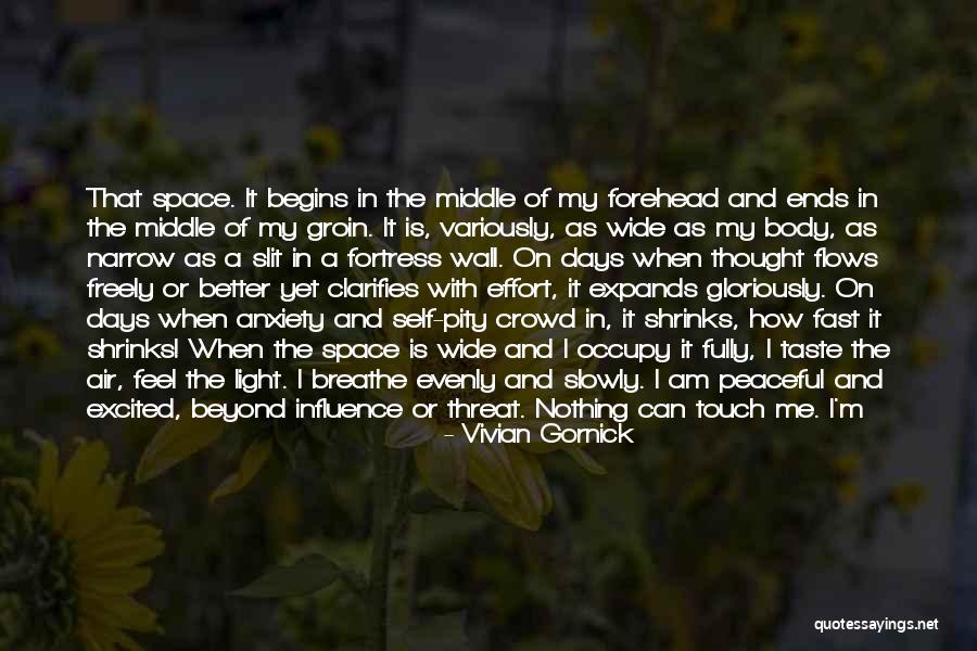 Vivian Gornick Quotes 786068 Vivian Gornick Quotes 786068